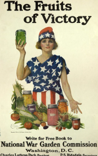Women in wartime